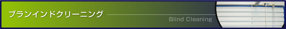 ブラインドクリーニング